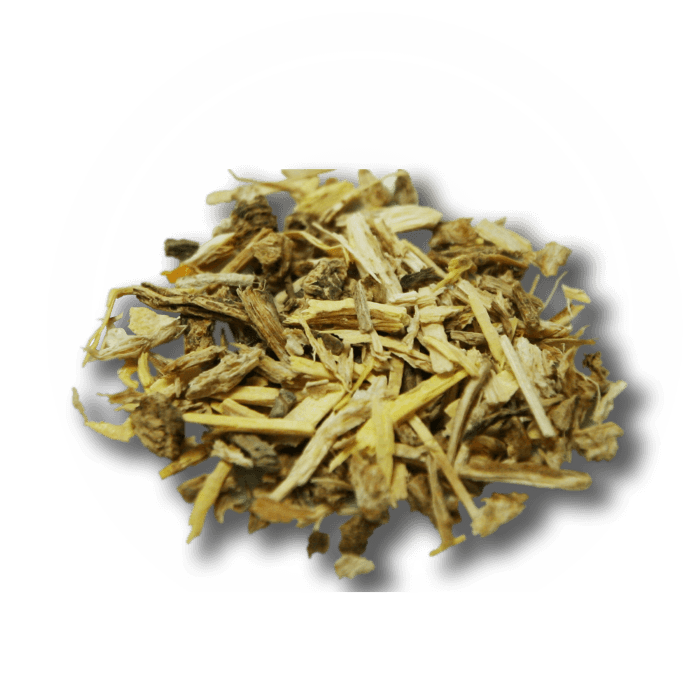 Angelica Root