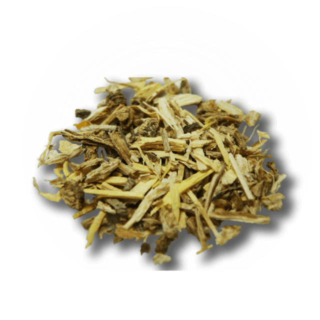 Angelica root