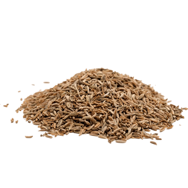 Cumin seed