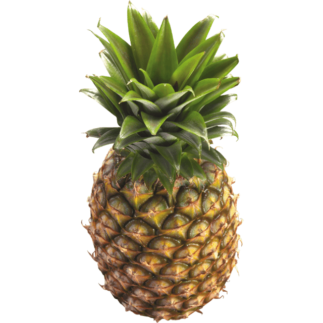 Pineapple